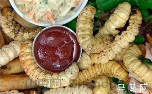 世界上什么食物最恶心,最恶心的食物排行榜(世界十大最恶心食物)