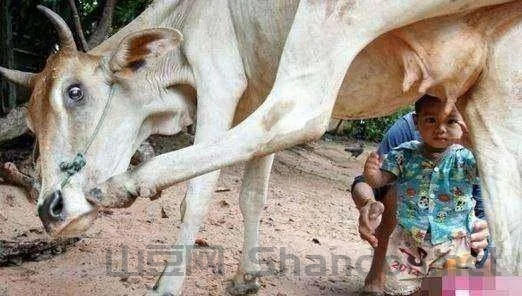 世界上最牛的丈夫世界上最牛的妈妈