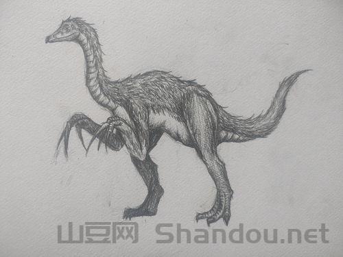 方舟进化生存神龙，方舟世界神龙排行榜前十