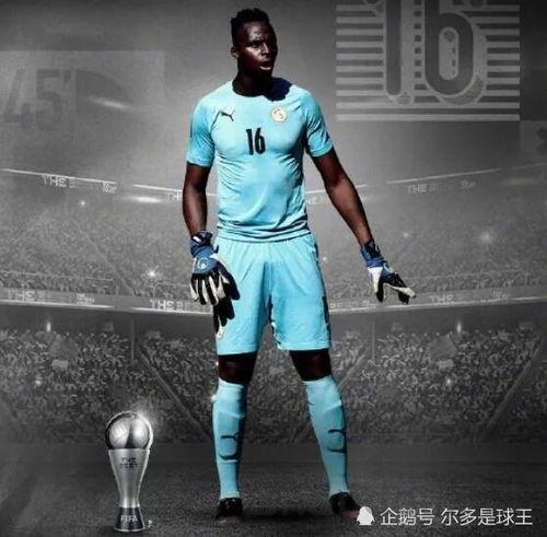 fⅰfa足球世界门将推荐，足球世界前十门将排名榜