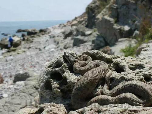 世界上最荒僻的岛屿，世界上最荒凉的海域