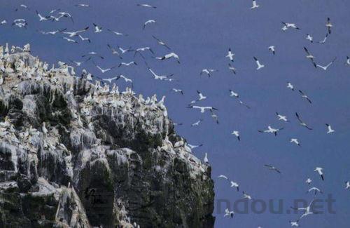 世界上最荒僻的岛屿,世界上最荒凉的海域