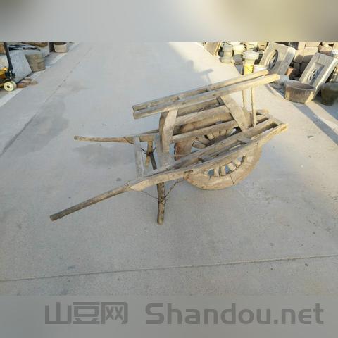 世界现存最大最古老的木质,世界上最古老木头