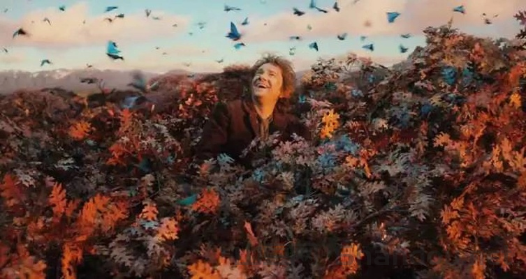 世界上最震撼的电影，世界上最震撼的美文