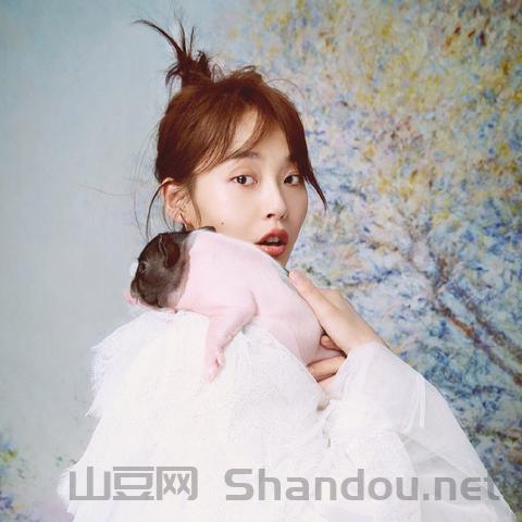 道具宠物前十大排名，道具宠物哪个好