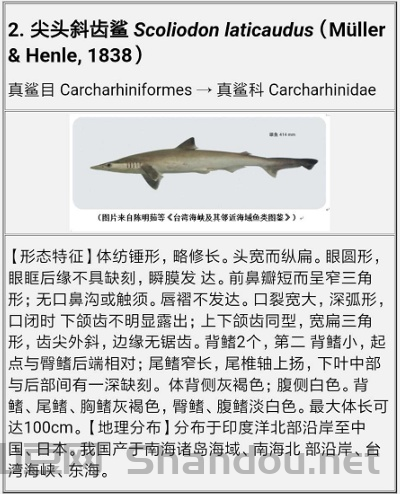 全世界鱼类标本排名前十，全世界鱼类标本排名前十名