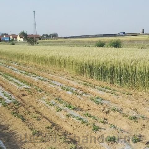 世界上谁的话最值钱，世界上最值钱的是哪一个国家的钱