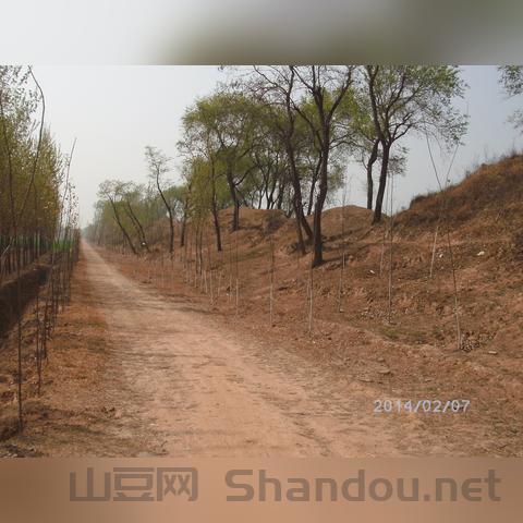 萧城遗址怎么样,萧城遗址比赛时间