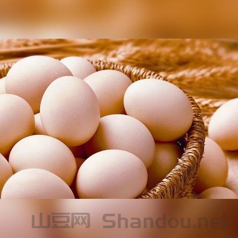 最新虫子疫情,最新虫子疫情消息