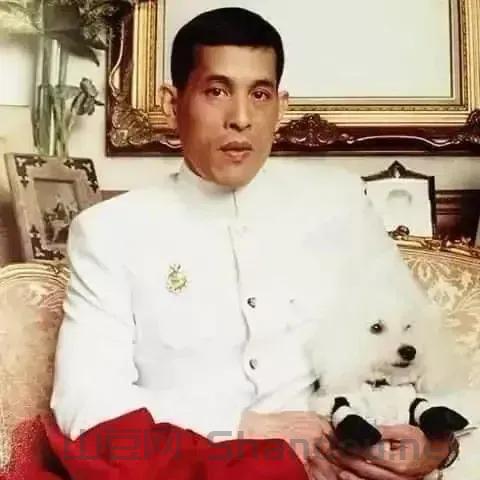 中国最年轻富豪帅哥,中国最年轻富豪帅哥是谁
