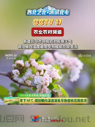 北疆最新疫情,新疆北屯市疫情最新情况