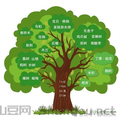 全世界最老树木排名前十,全世界最老树木排名前十名