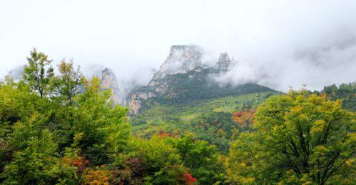 峡谷疫情最新动态,大峡谷疫情