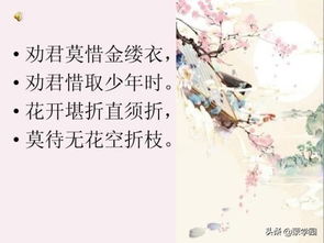 最值得读的古诗，中国史上最值得一读的诗