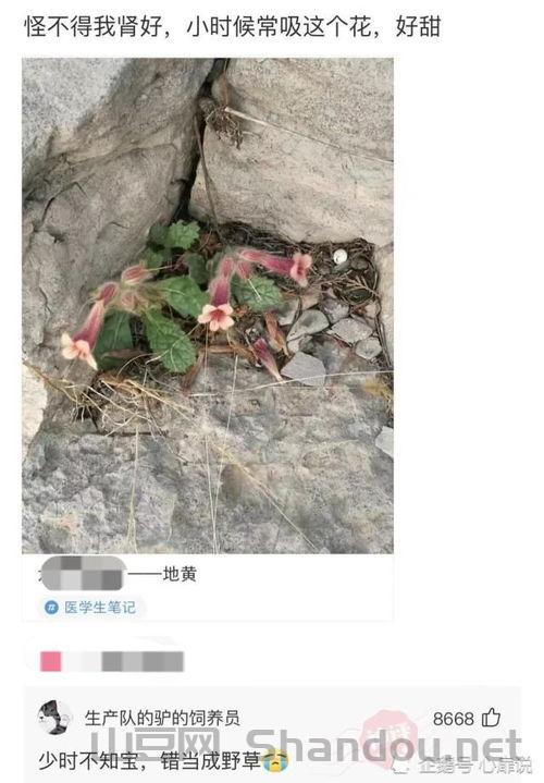 世界最沙雕的人，世界上最沙雕的卡点
