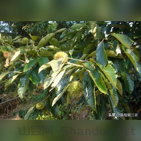 全世界m2总量排名前十,全世界m2总量排名前十名