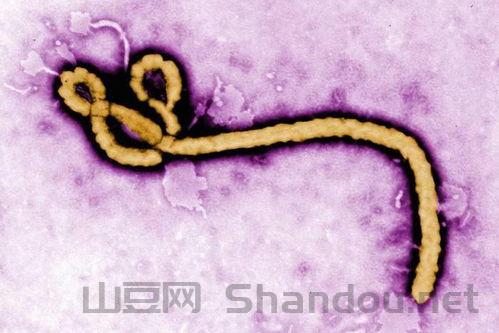 中国最流行的8种病毒是什么,中国最流行的8种病毒