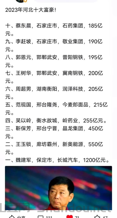 廊坊富豪十大排名，廊坊富豪十大排名名单