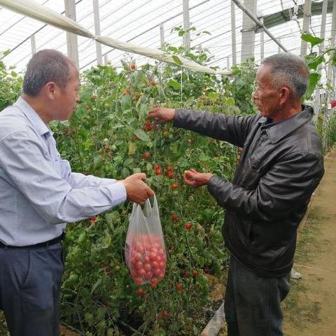 疫情最新报道滑县疫情情况，疫情最新报道滑县疫情