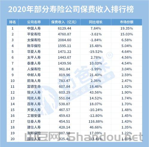 金湾财税公司十大排名，金湾财税公司十大排名榜