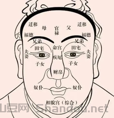 相术看疫情,相术可信吗