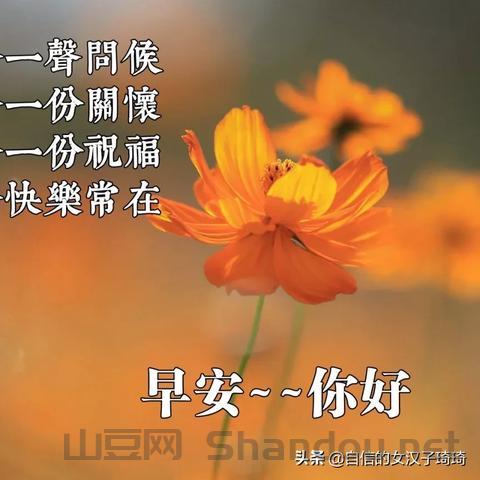 祖国对抗疫情，面对疫情祖国强大的句子
