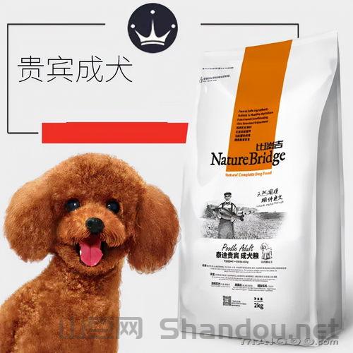 宠物弹力素是什么，宠物弹力素十大排名