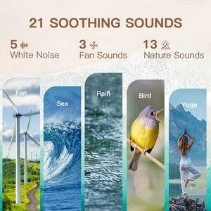 世界上最舒缓的声音是什么，世界上最舒缓的声音