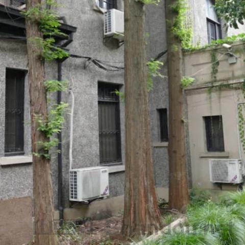 东平最新台球比赛时间表，东平最新台球比赛时间