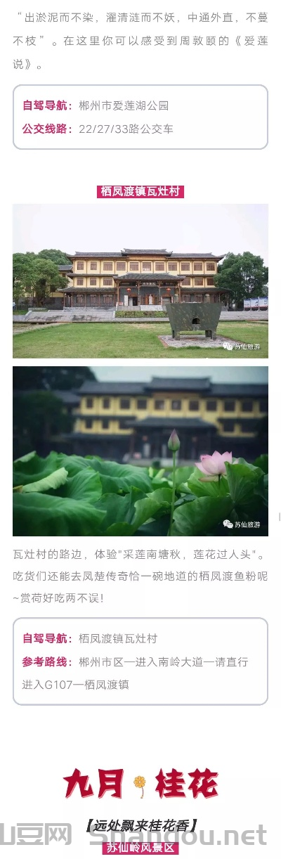 郴州最近台球比赛时间，郴州最近台球比赛时间表