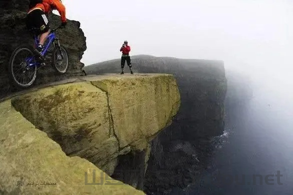 世界上最危险的十种，世界上最危险的结
