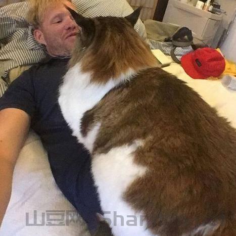 世界国外名牌学校排名前十名,世界国外名牌学校排名前十