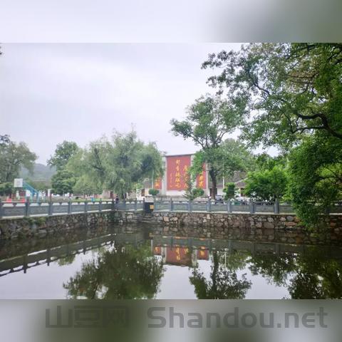 变异恐怖片十大排名电影，变异恐怖片十大排名