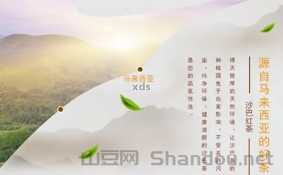 马来西亚名名茶，马来西亚茶叶十大排名