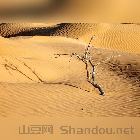 世界沙漠矿藏排名前十,世界沙漠矿藏排名前十名