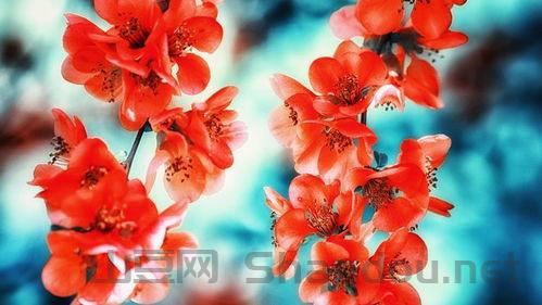 国产补铁软糖十大排名,补铁软糖国内哪个品牌最安全