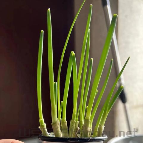 疫情局势,疫情动态趋势