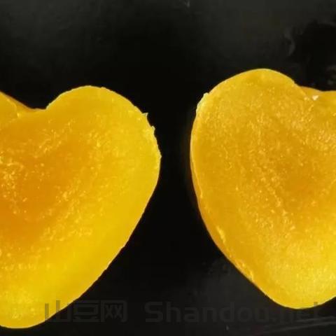 中国最牛的模具公司,中国最牛模具师