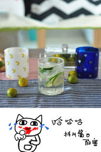 世界十大玻璃杯品牌，世界前十玻璃水杯品牌