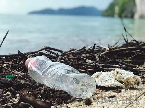 世界污染塑料排行榜前十，世界污染塑料排行榜前十名