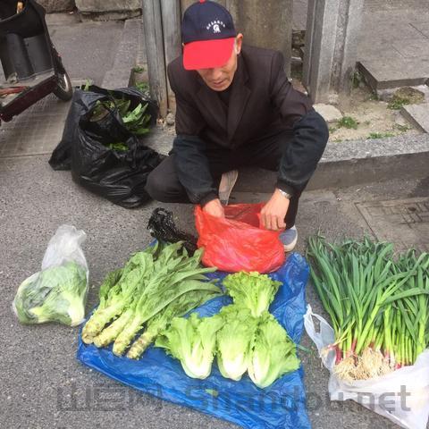 世界上最苦的蔬菜，世界上最苦的蔬菜有哪些