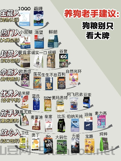 狗子喂食器十大排名品牌,狗子喂食器十大排名