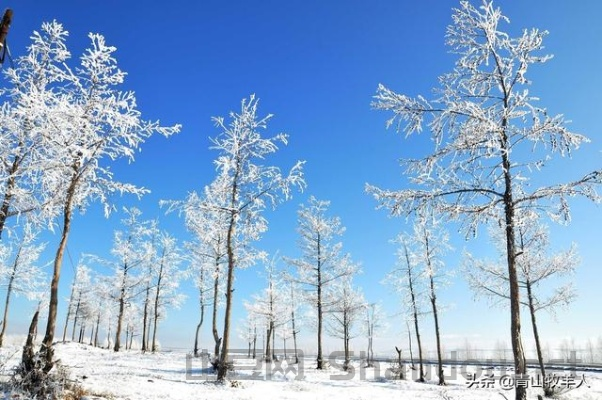 中国最北方大雪图片,中国最北方大雪图片高清