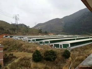 河源瓦溪疫情最新消息，河源瓦溪疫情最新消息今天