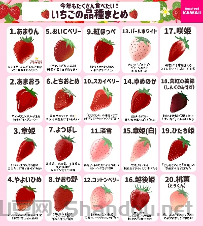 草莓品种十大排名有哪些，草莓品种十大排名