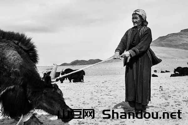 世界上最牛的藏家，世界上最牛的藏家是谁