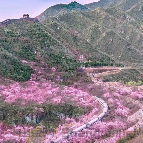 中国最美列车是哪个列车，中国最漂亮火车图片