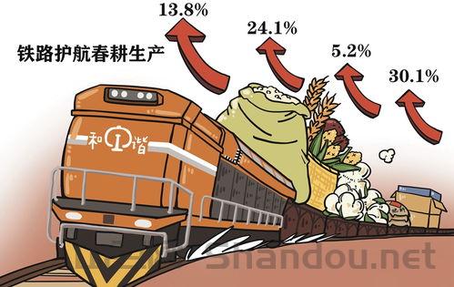 中国最坚实的保障,中国最坚实的保障是什么