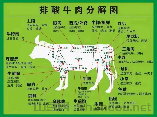 中国最正宗牛肉馆排名，中国最正宗牛肉馆