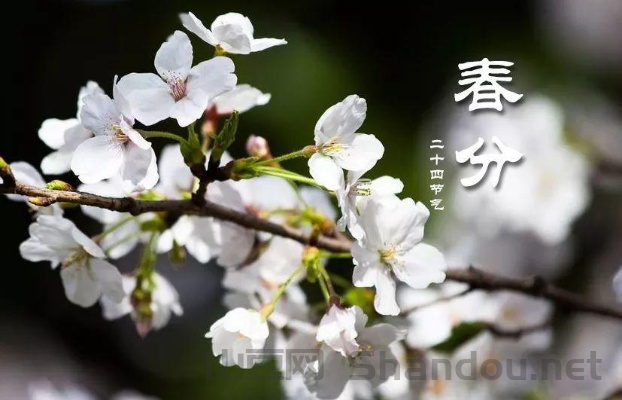 春分适逢疫情，春分到了意味着什么